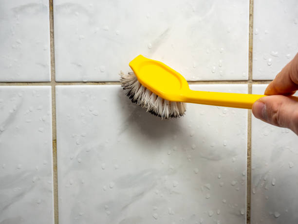 Best Mold Removal Company Near Me  in West Lafayette, OH