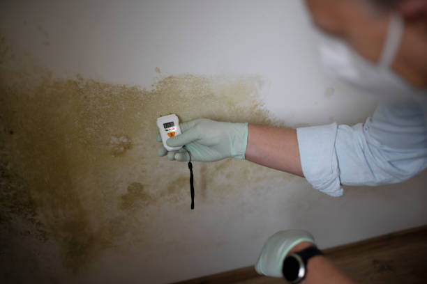 Best Crawl Space Mold Removal  in West Lafayette, OH