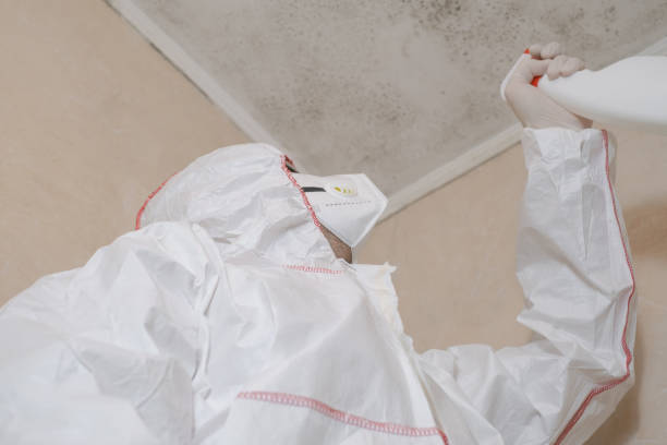 Professional Mold Removal in West Lafayette, OH